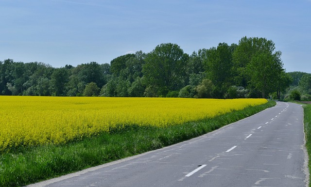 commodities trading gold bars oil barrels precious metals